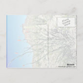 Ocotillo blühend, aber hinten postkarte (Rückseite)