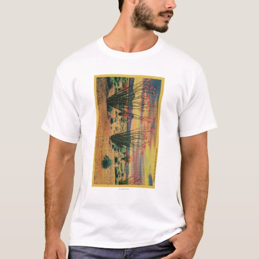 Ocotillo-Blumen in der Blüte, Kalifornien T-Shirt (Vorderseite)