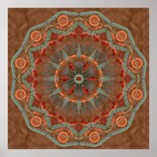 Ocotillo Mandala 1 Poster (Vorne)