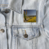 Ocotillo und Wüste Senna Button (Beispiel)