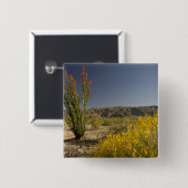 Ocotillo und Wüste Senna Button (Vorne & Hinten)