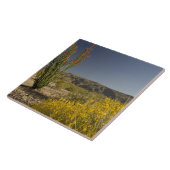 Ocotillo und Wüste Senna Fliese (Seite)