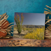 Ocotillo und Wüste Senna Fotoplatte (Seite)