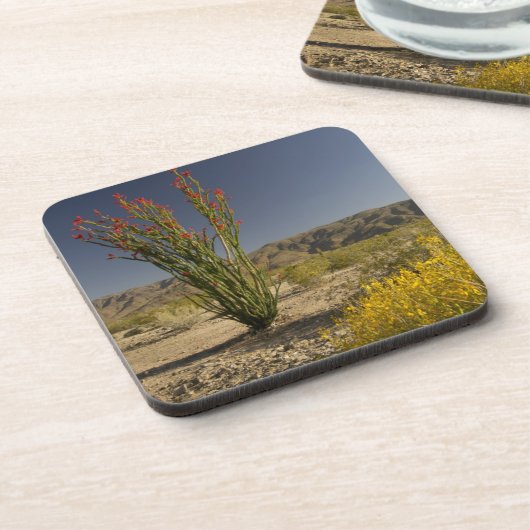 Ocotillo und Wüste Senna Getränkeuntersetzer (Linke Seite)