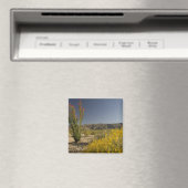 Ocotillo und Wüste Senna Magnet (In Situ (Geschirrspüler))