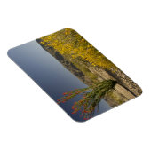 Ocotillo und Wüste Senna Magnet (Rechte Seite)