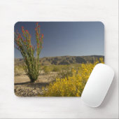 Ocotillo und Wüste Senna Mousepad (Mit Mouse)
