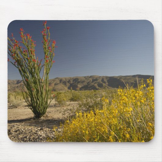 Ocotillo und Wüste Senna Mousepad (Vorne)