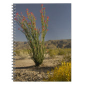 Ocotillo und Wüste Senna Notizblock (Vorderseite)
