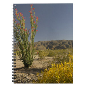 Ocotillo und Wüste Senna Notizblock