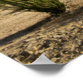 Ocotillo und Wüste Senna Poster (Ecke)