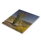 Ocotillo und Wüsten-Senna Fliese (Seite)
