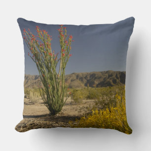 Ocotillo und Wüsten-Senna Kissen