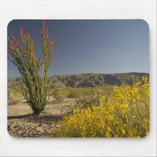Ocotillo und Wüsten-Senna Mousepad