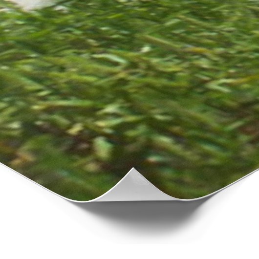 Ocracoke Island Poster (Ecke)