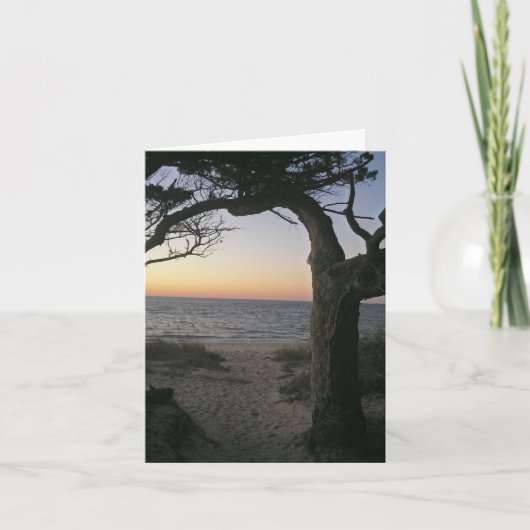 Ocracoke Sunset Note Card Karte (Vorderseite)