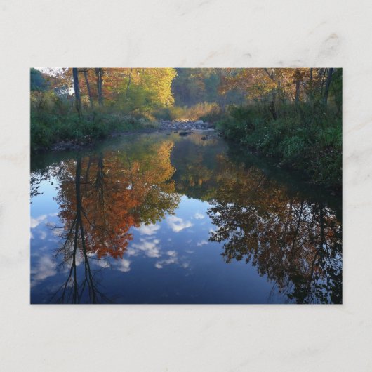 October at The Stream Postkarte (Vorderseite)