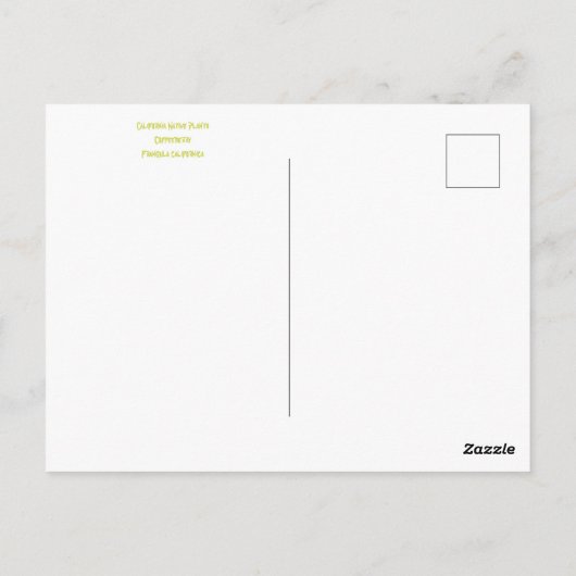 OCTOBER POSTCARD POSTKARTE (Rückseite)