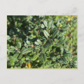 OCTOBER POSTCARD POSTKARTE (Vorderseite)