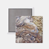 Octopi Magnet (Vorderseite/Rückseite)