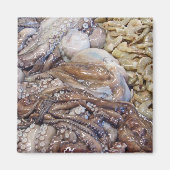 Octopi Magnet (Vorne)