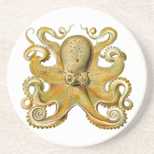 Octopus antike Illustration Seeungeheuer Getränkeuntersetzer (Vorne)