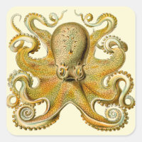 Octopus antike Illustration Seeungeheuer