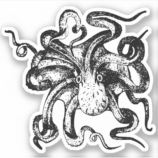 Octopus Contour Stickers Aufkleber (Vorderseite)