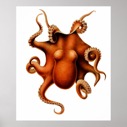 Octopus Die Cephalopod Vintage Poster (Vorne)