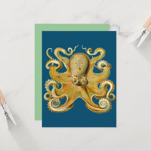 Octopus - Ernst Haeckel's Karte (Vorderseite/Rückseite Beispiel)