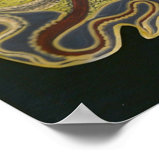 Octopus Friend Poster (Ecke)