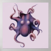 Octopus Illustration Poster (Vorne)