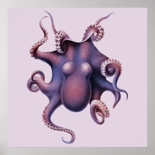 Octopus Illustration Poster (Vorne)