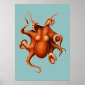 Octopus Illustration Poster (Vorne)