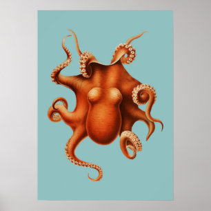 Octopus Illustration Poster