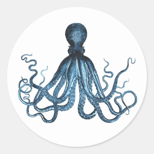 Octopus kraken nautischer Küstenstrand Meer Runder Aufkleber (Vorderseite)