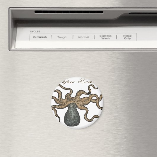 Octopus Kraken Vintag Illustration Magnet (In Situ (Geschirrspüler))
