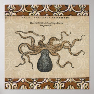 Octopus Kraken Vintag Illustration Poster