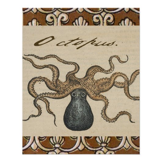 Octopus Kraken Vintag Illustration Poster (Vorderseite)