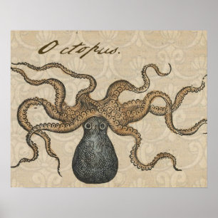 Octopus Kraken Vintag Illustration Poster