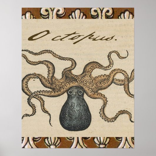 Octopus Kraken Vintag Illustration Poster (Vorne)