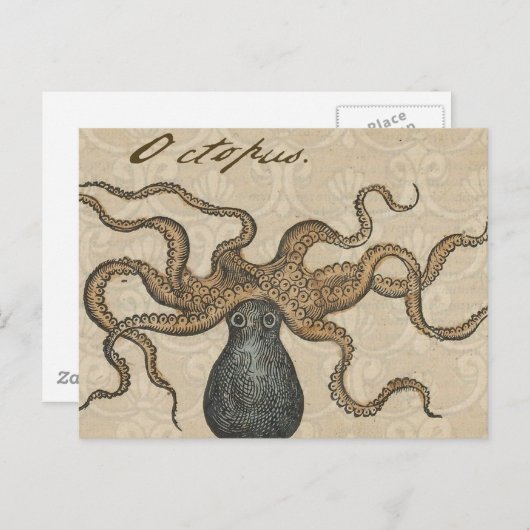 Octopus Kraken Vintag Illustration Postkarte (Vorne/Hinten)