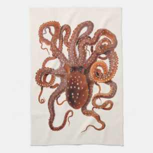 Octopus Macropus, Vintage Meeresaquarien Tiere Geschirrtuch