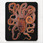 Octopus Macropus, Vintage Meeresaquarien Tiere Mousepad (Vorne)