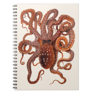 Octopus Macropus, Vintage Meeresaquarien Tiere Notizblock