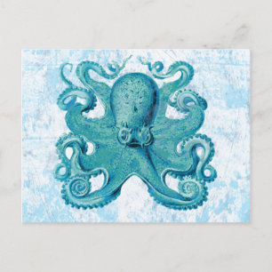 Octopus Marine Life Ocean Animes Beach Life Postkarte
