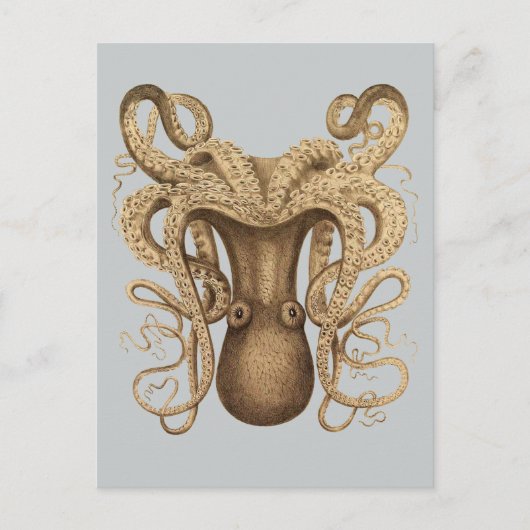 Octopus Marmoratus (blau) Postkarte (Vorderseite)