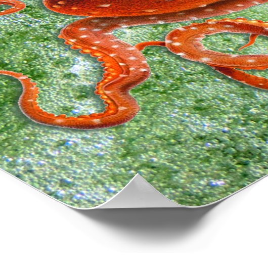 Octopus Ocean Vintage Poster (Ecke)