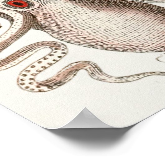 Octopus Rotes Auge Cephalopod Sea Kreaturen Art Dr Poster (Ecke)