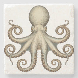 Octopus scientific diagram unique artwork retro  steinuntersetzer